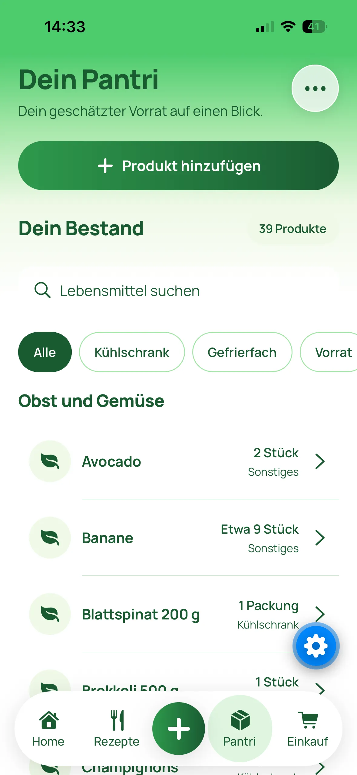 Entwicklungsstand der Vorratsübersicht in PantriPanda